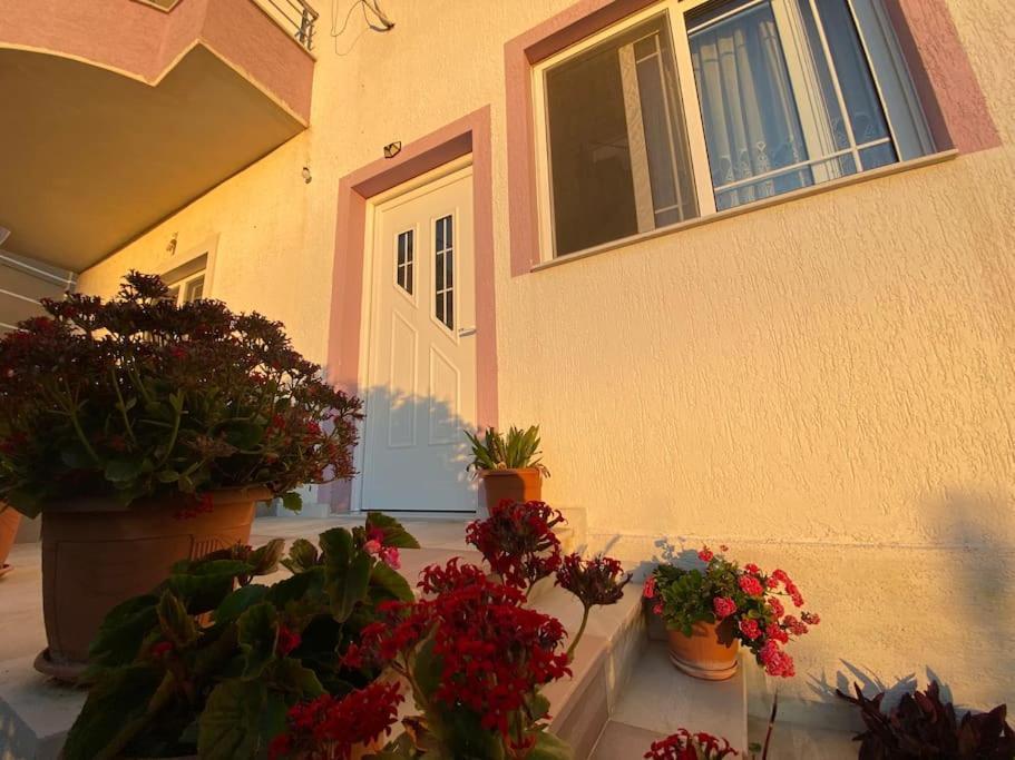 Guesthouse Xhimi Ksamil Extérieur photo