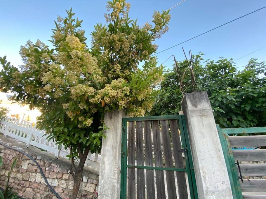 Guesthouse Xhimi Ksamil Extérieur photo